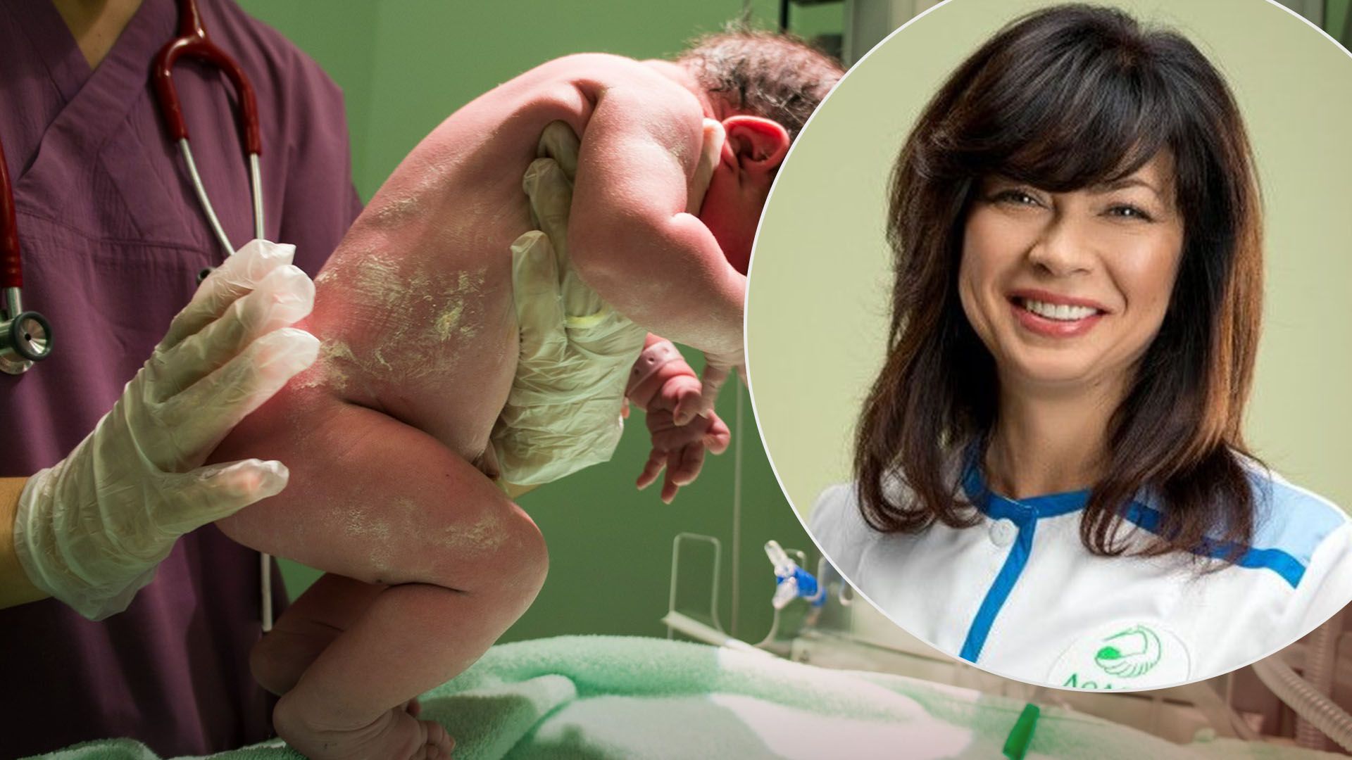 Пологи під час війни Пологи під час війни